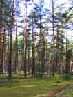 фото Р.Федоров