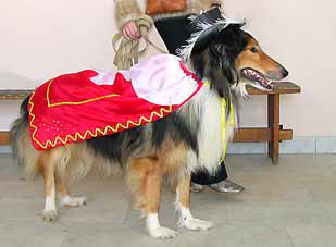 Мушкетер